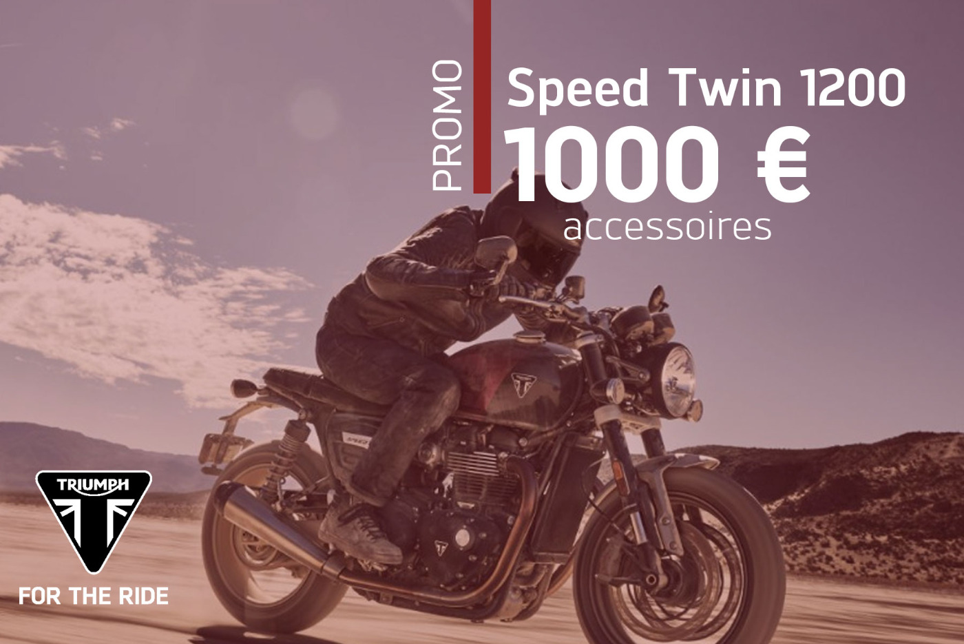 Promotion Speed Twin 1200 MY24