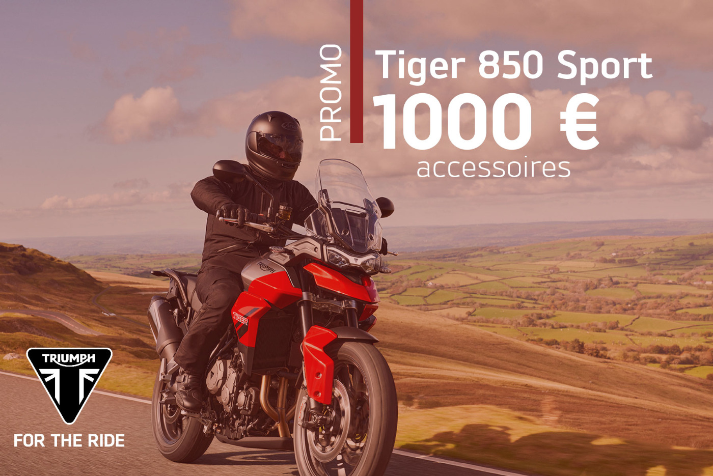 Promotion Tiger 850 Sport