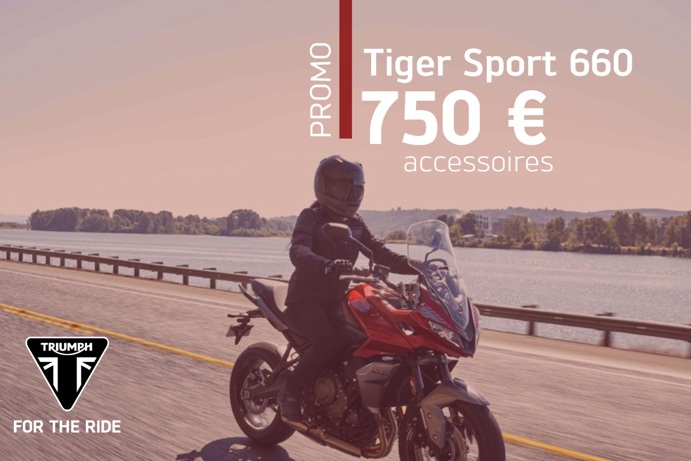 Promotion Tiger Sport 660 MY24