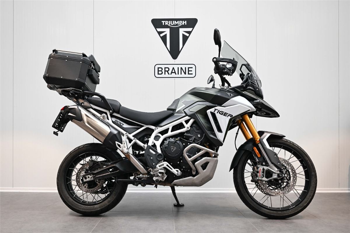Tiger 900 Rally Pro